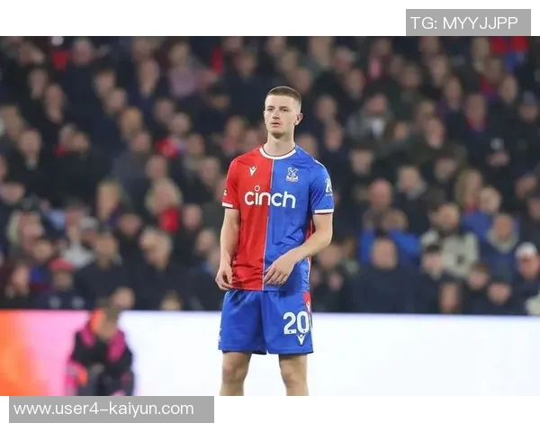 罗马诺曝格拉斯纳或将辞职水晶宫弗兰克在热刺帅位面临巨大压力